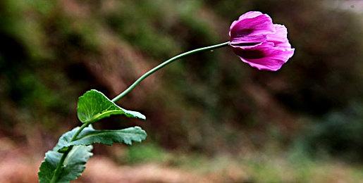 E3 2021：《你好邻居2》预告片 AI会研究玩家动作